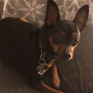 Meet your Posher, Michelle